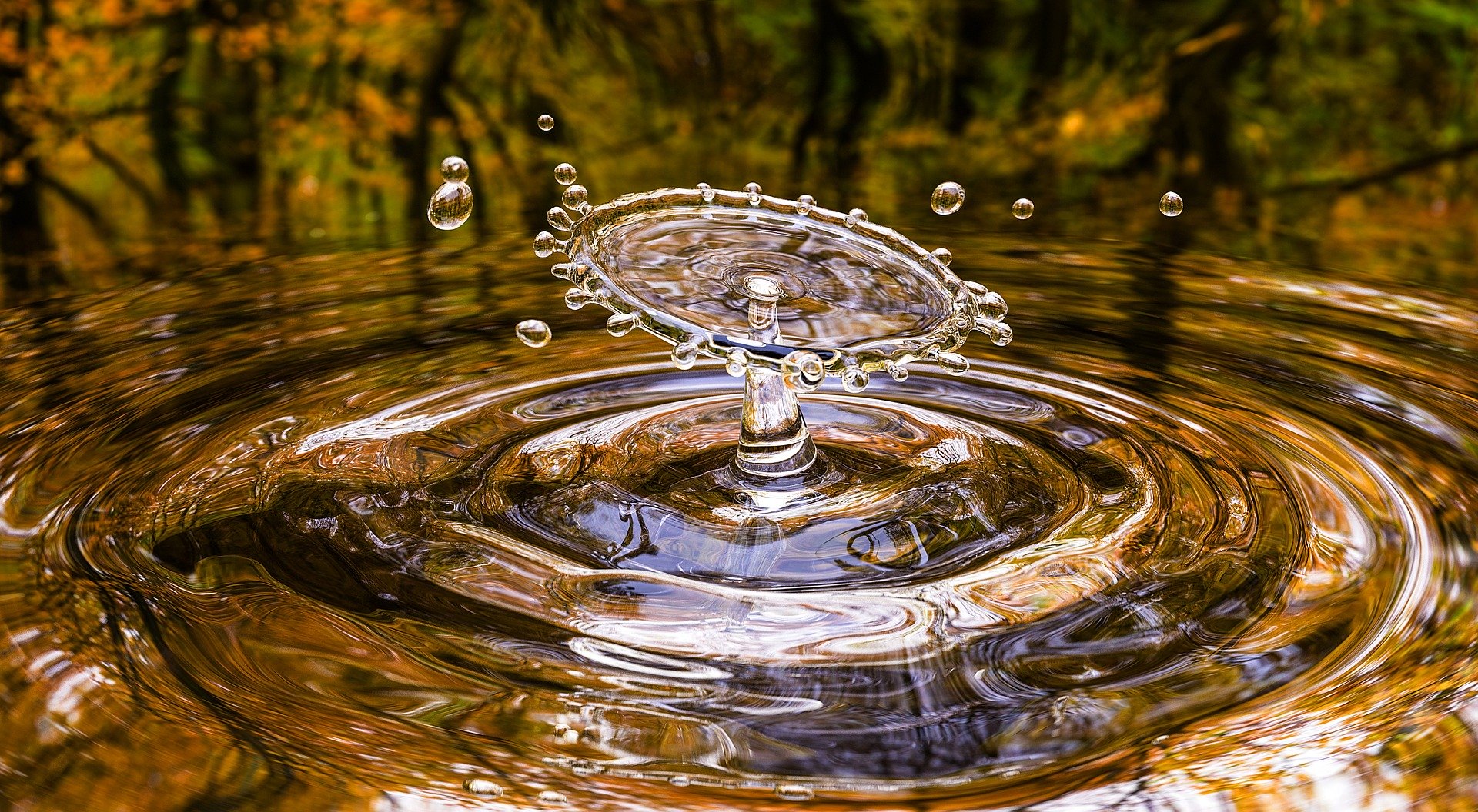 Wasser - lebenswichtiges Elixier und Schönheitstrunk in einem