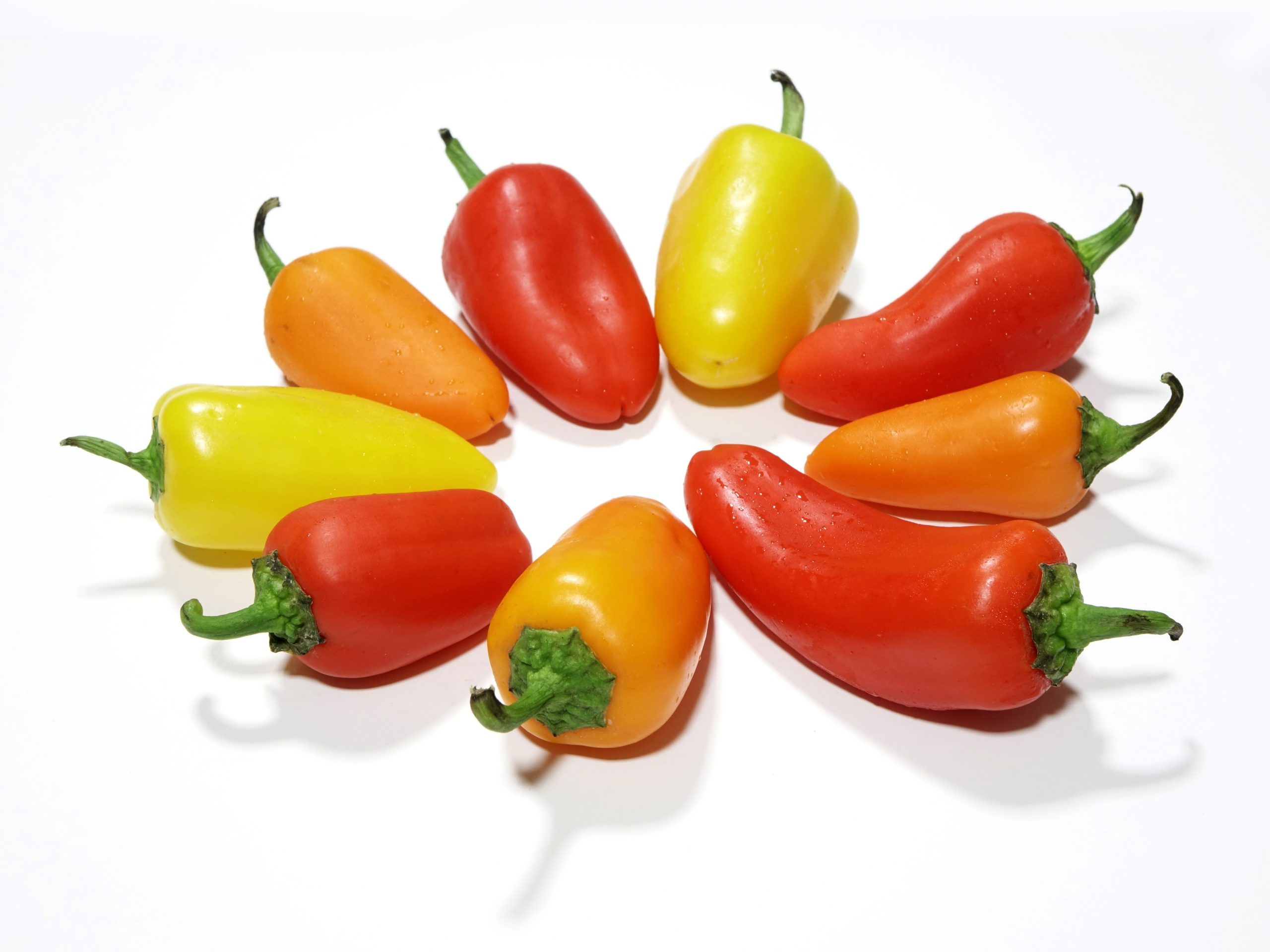 Paprika